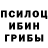 Псилоцибиновые грибы мухоморы SwampyOwl