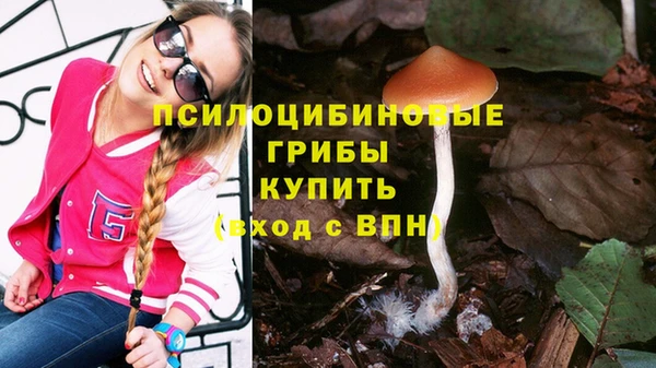 марки nbome Белокуриха