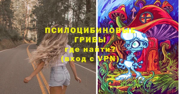 марки nbome Белокуриха