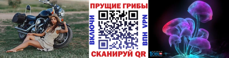 мега ONION Юрьевец Галлюциногенные грибы мицелий
